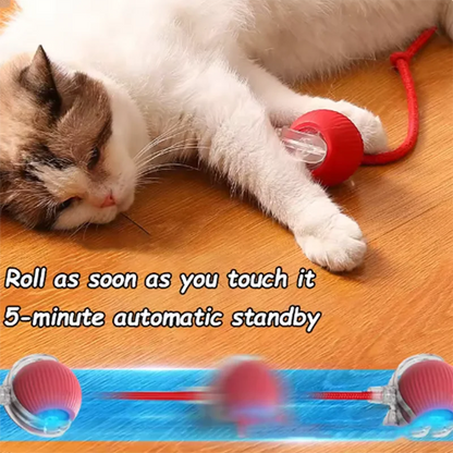 Hot pet dog toys are automatically teasing cat balls and self-exciting cat sticks and ticks and resistant to wear pet toys