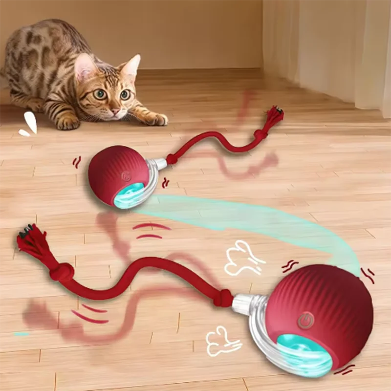 Hot pet dog toys are automatically teasing cat balls and self-exciting cat sticks and ticks and resistant to wear pet toys