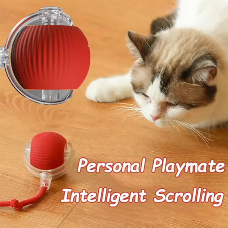 Hot pet dog toys are automatically teasing cat balls and self-exciting cat sticks and ticks and resistant to wear pet toys