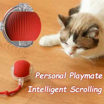 Hot pet dog toys are automatically teasing cat balls and self-exciting cat sticks and ticks and resistant to wear pet toys